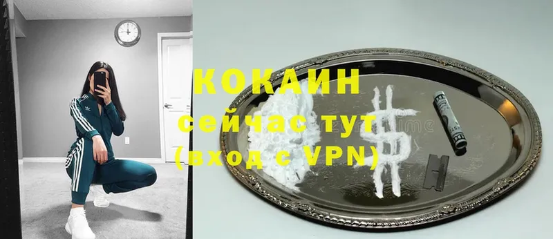 COCAIN FishScale  Кинель 